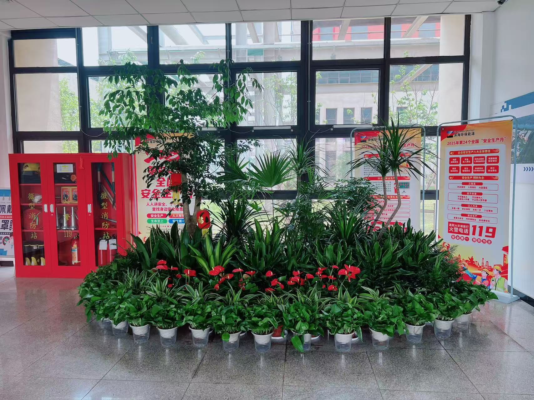 探寻余姚花卉出租哪家优？答案就在这里啦！